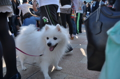 笑顔