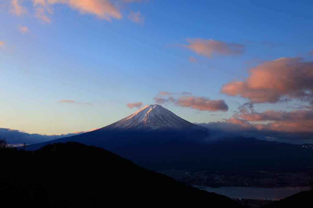 朝