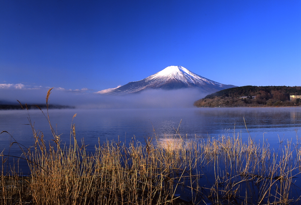 山中湖の朝