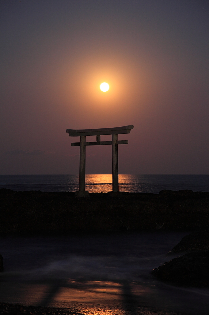 夜の海