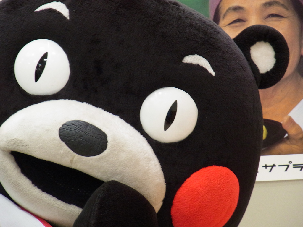 くまモン前から