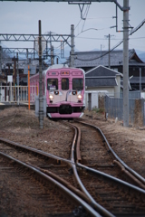 忍者電車