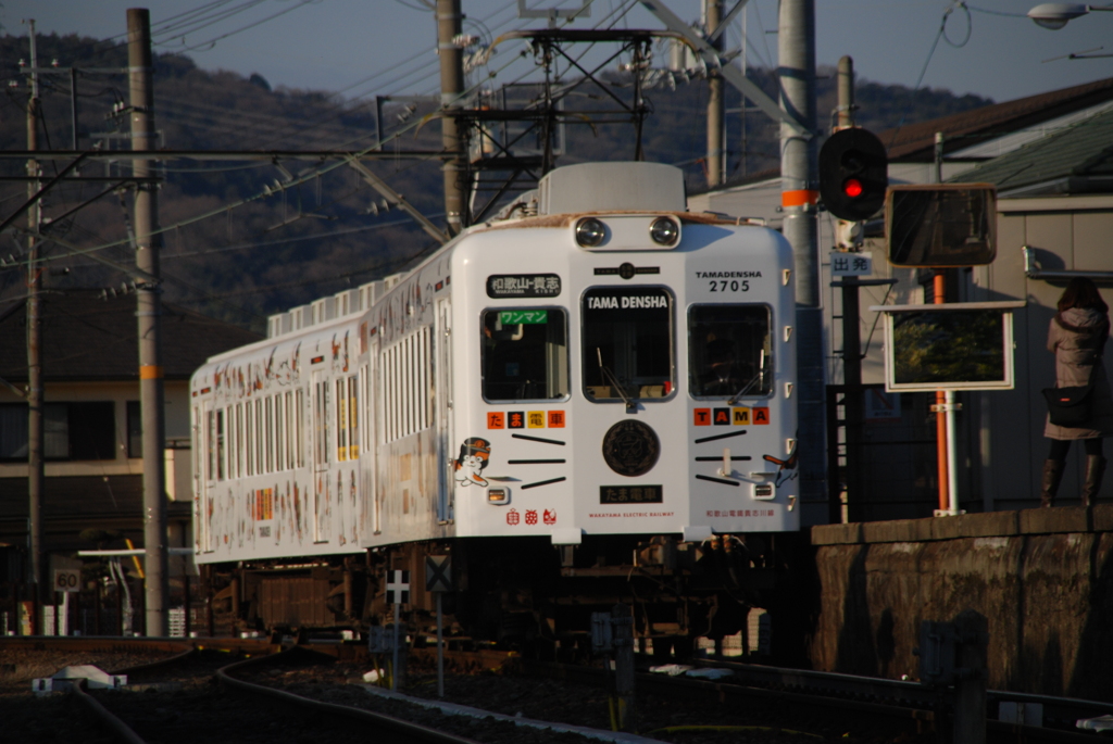 たま電車