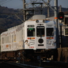たま電車