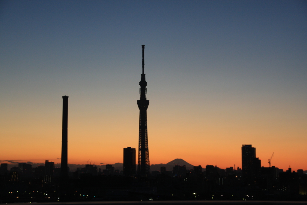 東京スカイツリーと富士山