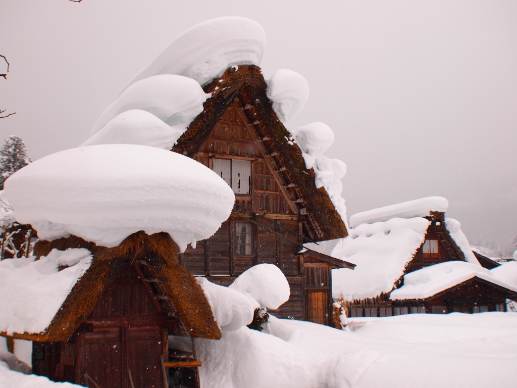 宇宙船？白川号