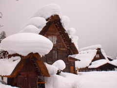宇宙船？白川号