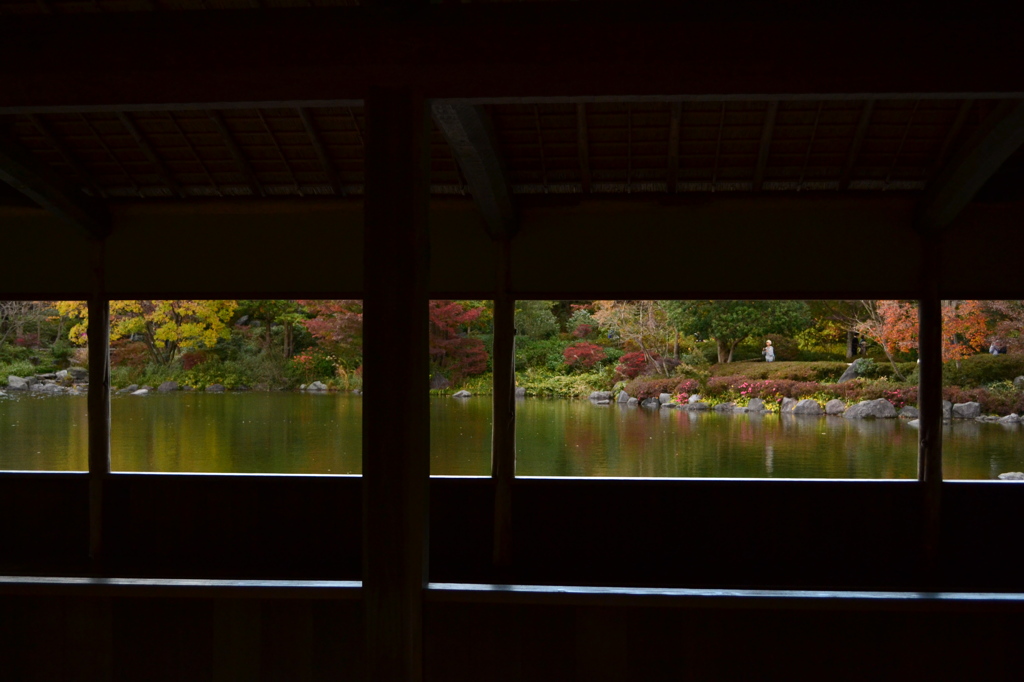 窓から眺める秋の景色