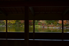 窓から眺める秋の景色