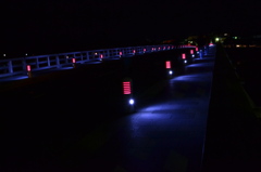 渡月橋、嵯峨嵐山