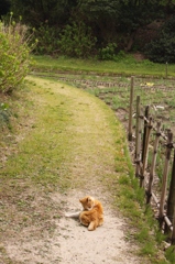 IMG_0924 (2)