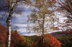 IMG_3015 (4100x2733)