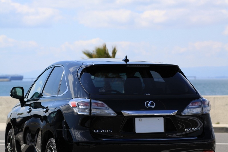 07_IMG_6216 (800x533)