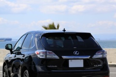 07_IMG_6216 (800x533)