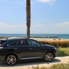 IMG_1572 (800x533)