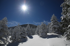 晴れ　雪　山　最高！