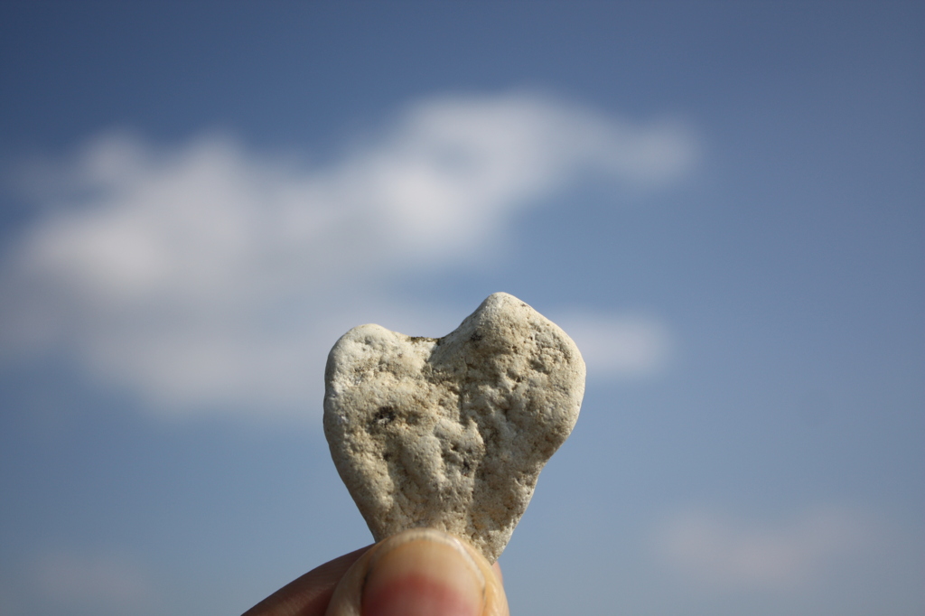 一つまみの幸せ