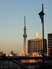 夕暮れのスカイツリー