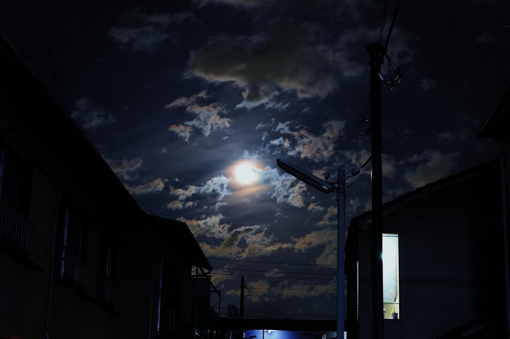今宵、月に照らされて