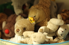 Teddy