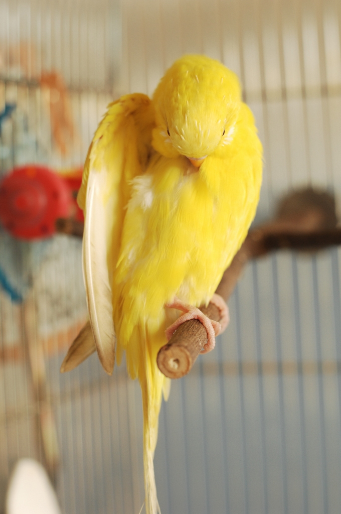 のんびり、まったり