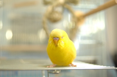 遊び疲れて・・・