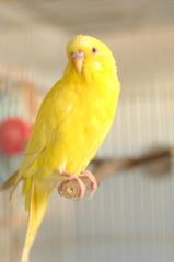 はー、さっぱり♪