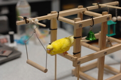 おっ、ブランコもある