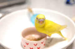お迎え２日目