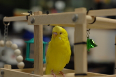 ここが落ち着くねー