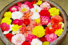薔薇・薔薇