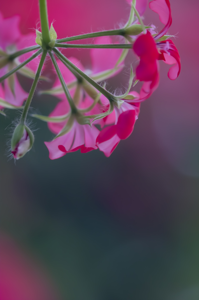 吐息