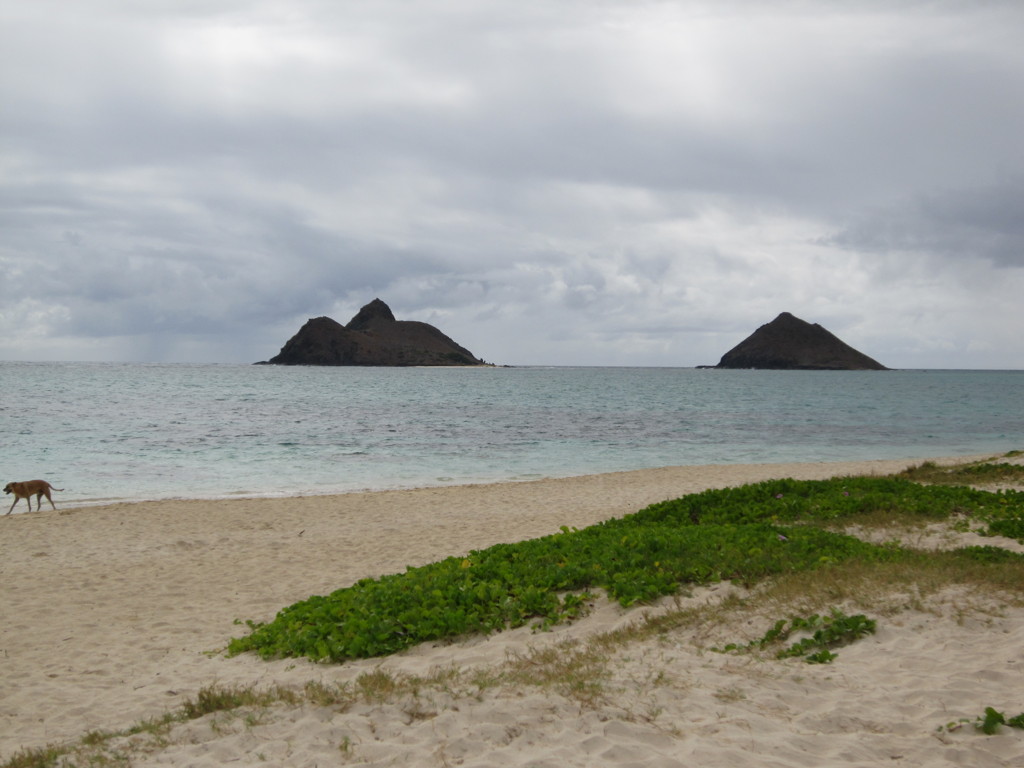 lanikai beach