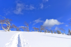 雪華