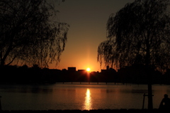 大濠公園からの夕日