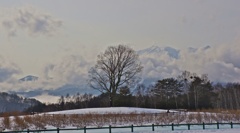 冬景色の開田高原