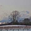 冬景色の開田高原