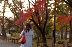 夕日に包まれて