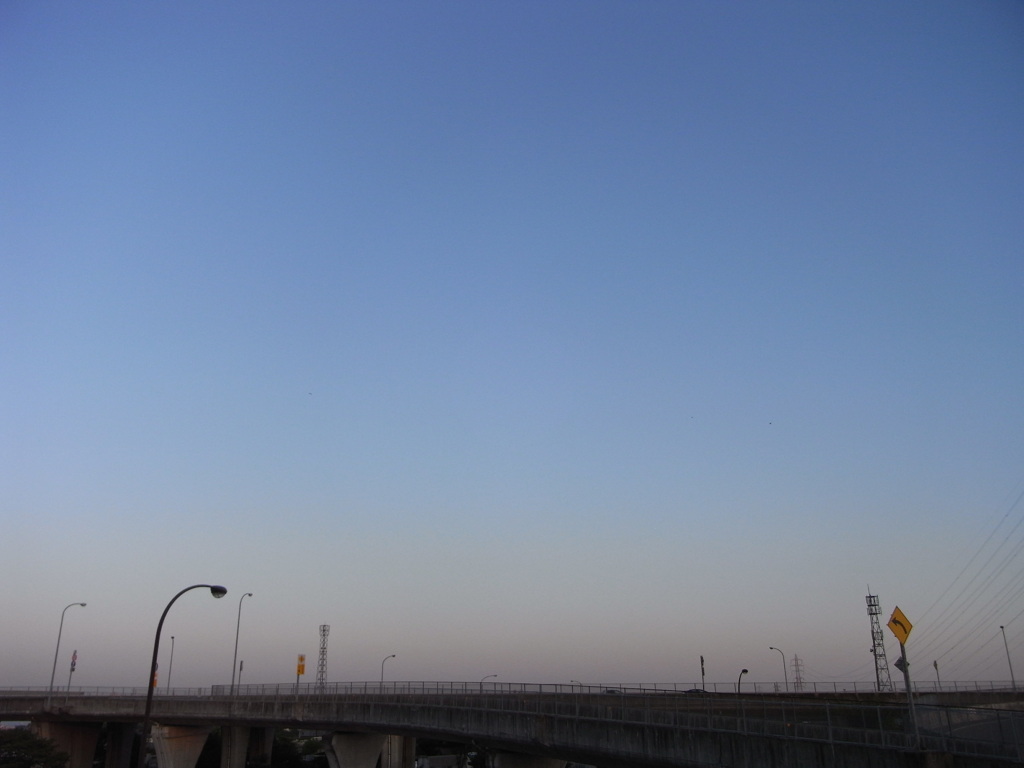 空(から)の水槽