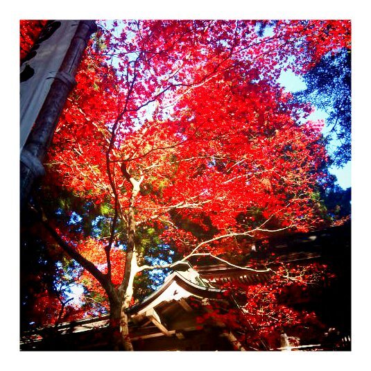 山寺の紅葉