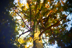 P1010306