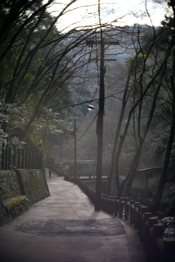 朝