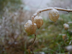 故郷からの帰りにて
