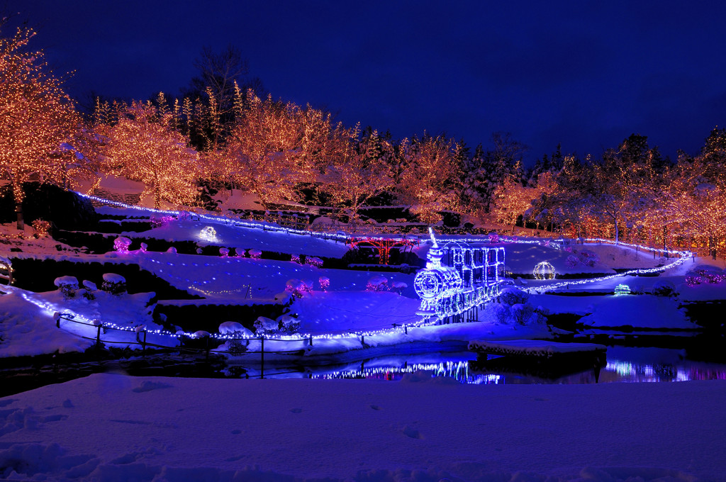 ２０１１イルミネーション（国営備北丘陵公園）２