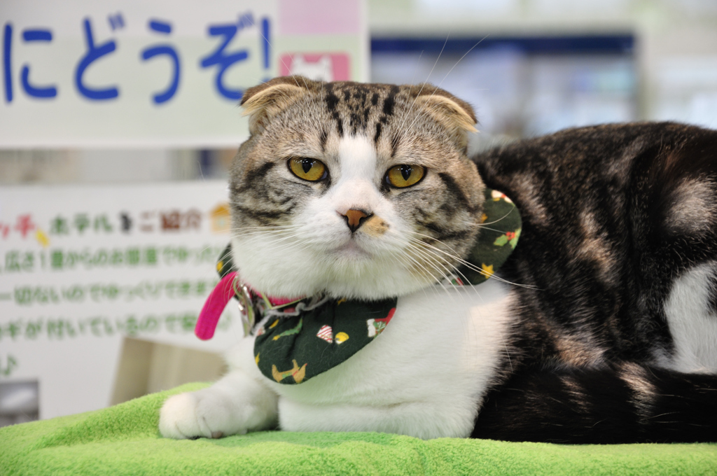 何だよ！！。。。