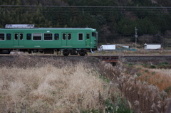 魔緑、荒野をゆく