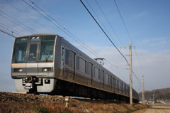 駆けていく