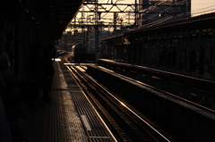 寒い朝　武庫川　
