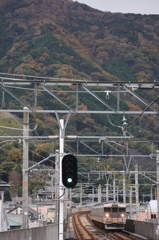 晩秋の紀州路