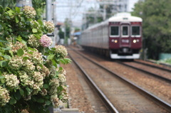 夏も近づく